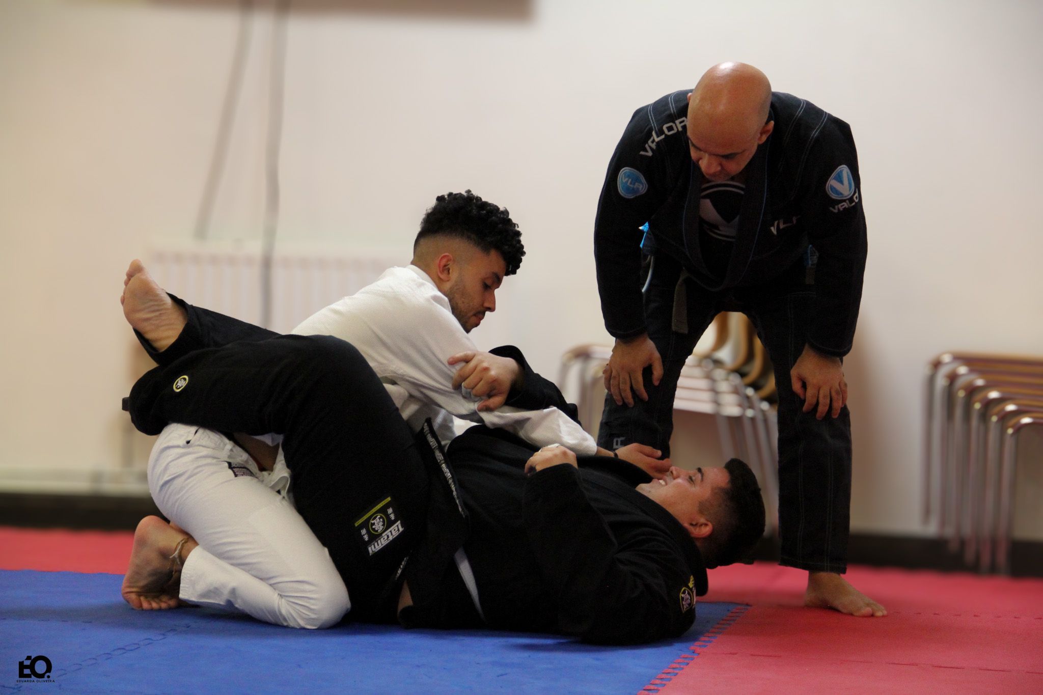 BJJ All Levels